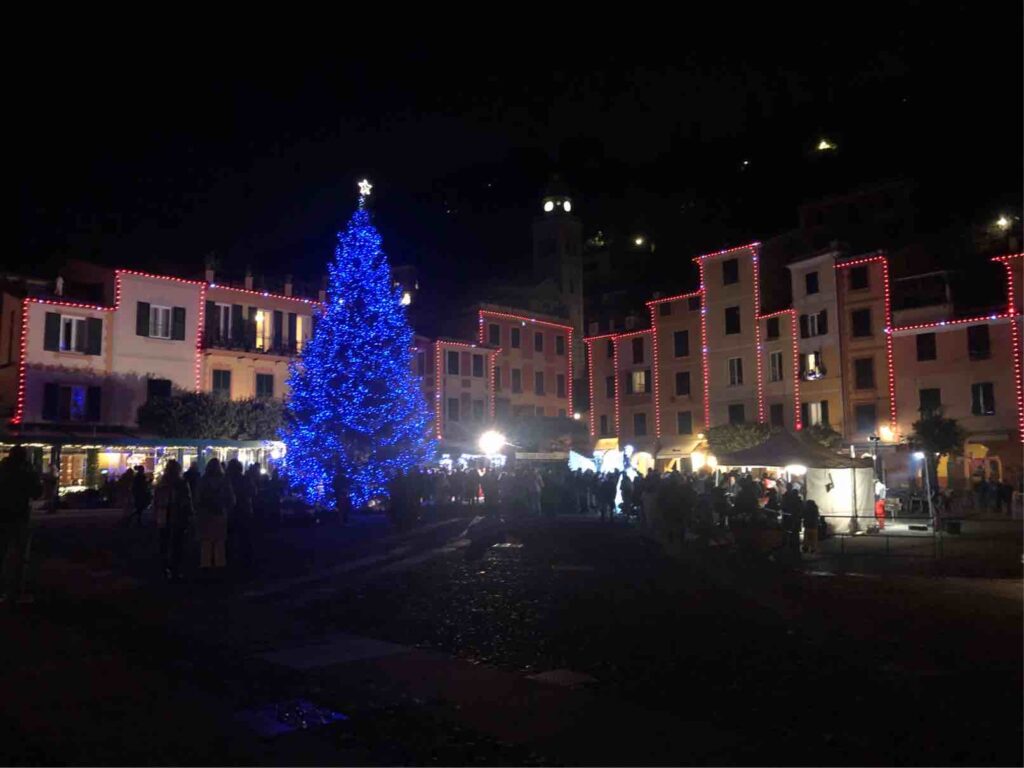 L'albero illuminato 