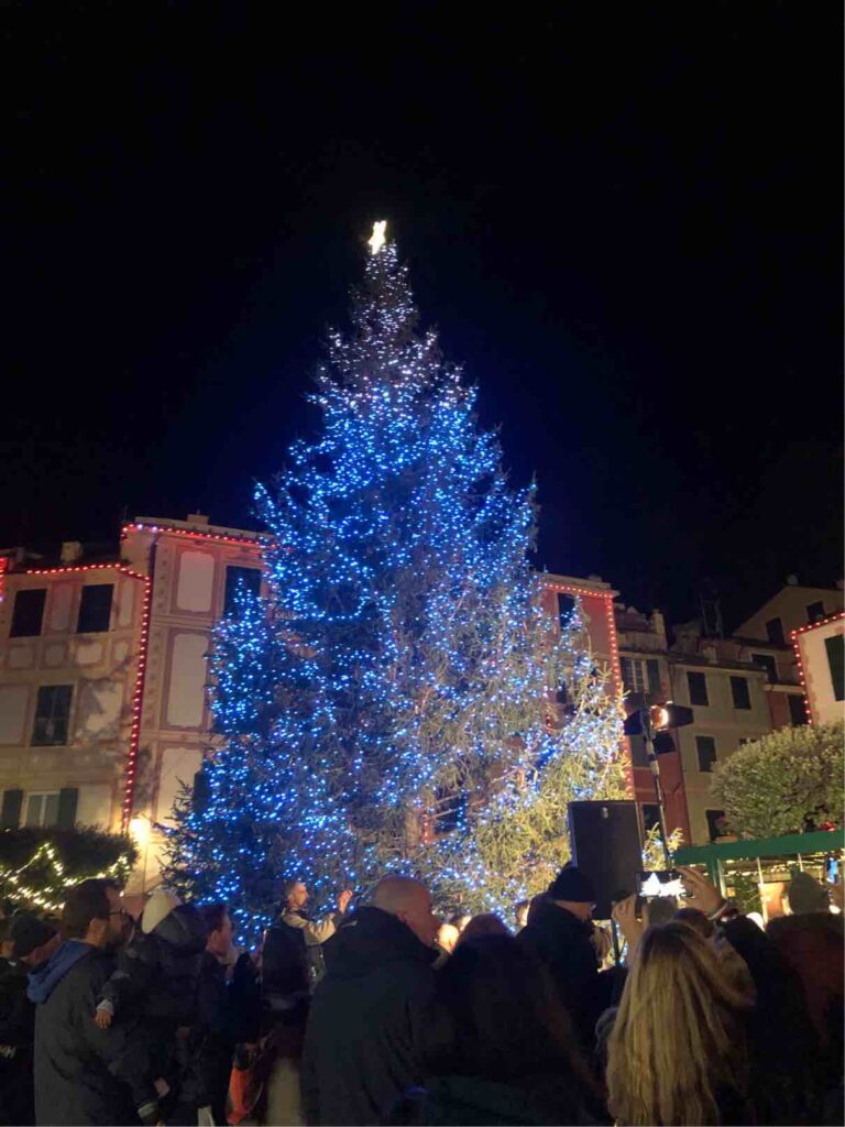 L'albero acceso 